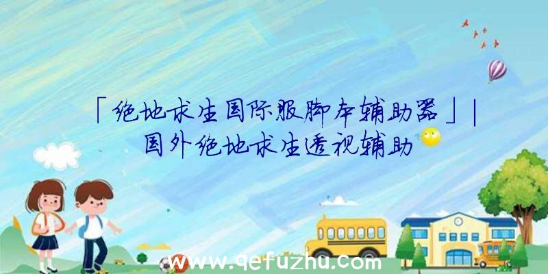「绝地求生国际服脚本辅助器」|国外绝地求生透视辅助